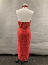 Red lace Pat Campano dress (rear)