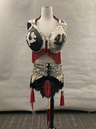 Mother Fu costume (front)