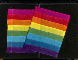 Gilbert Baker replica rainbow flag, front view